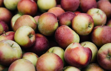 apples