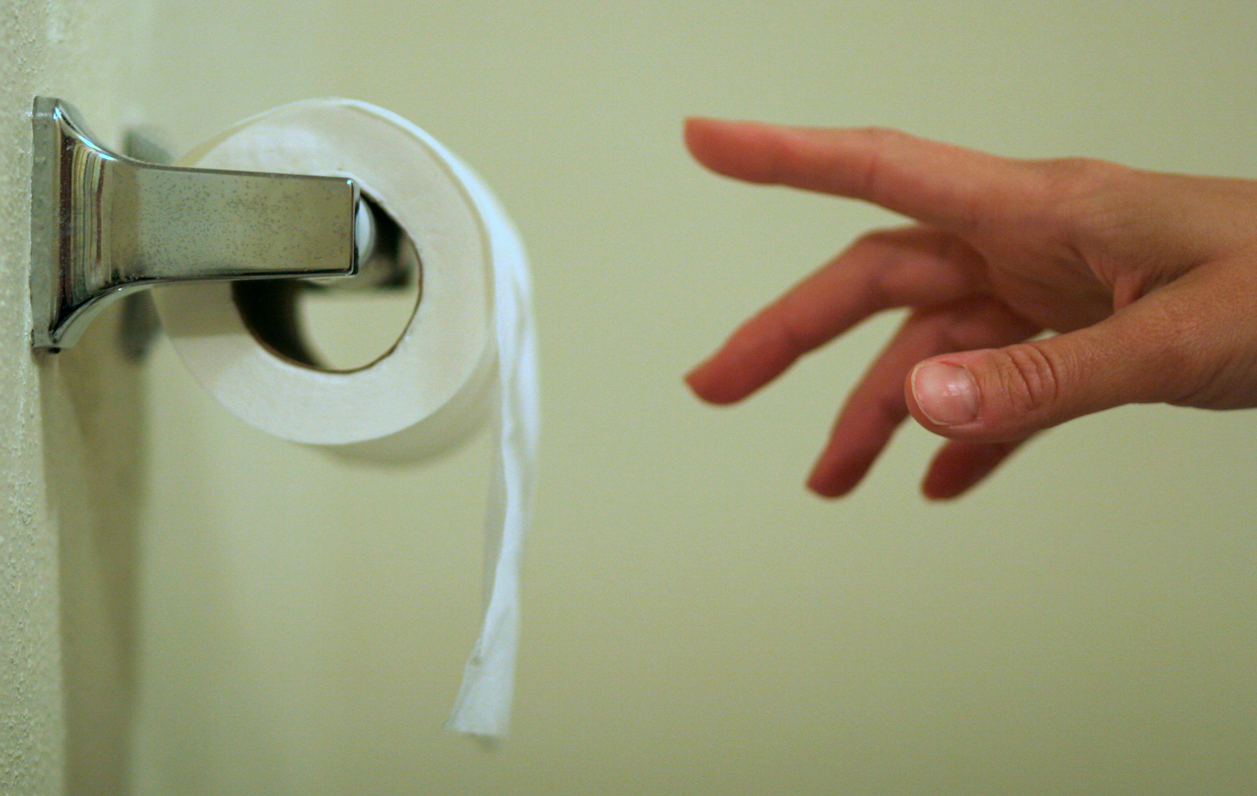 toilet paper
