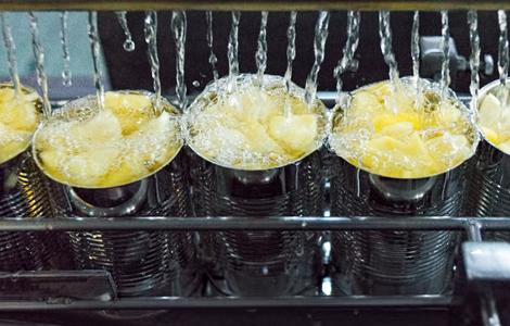 canned fruit