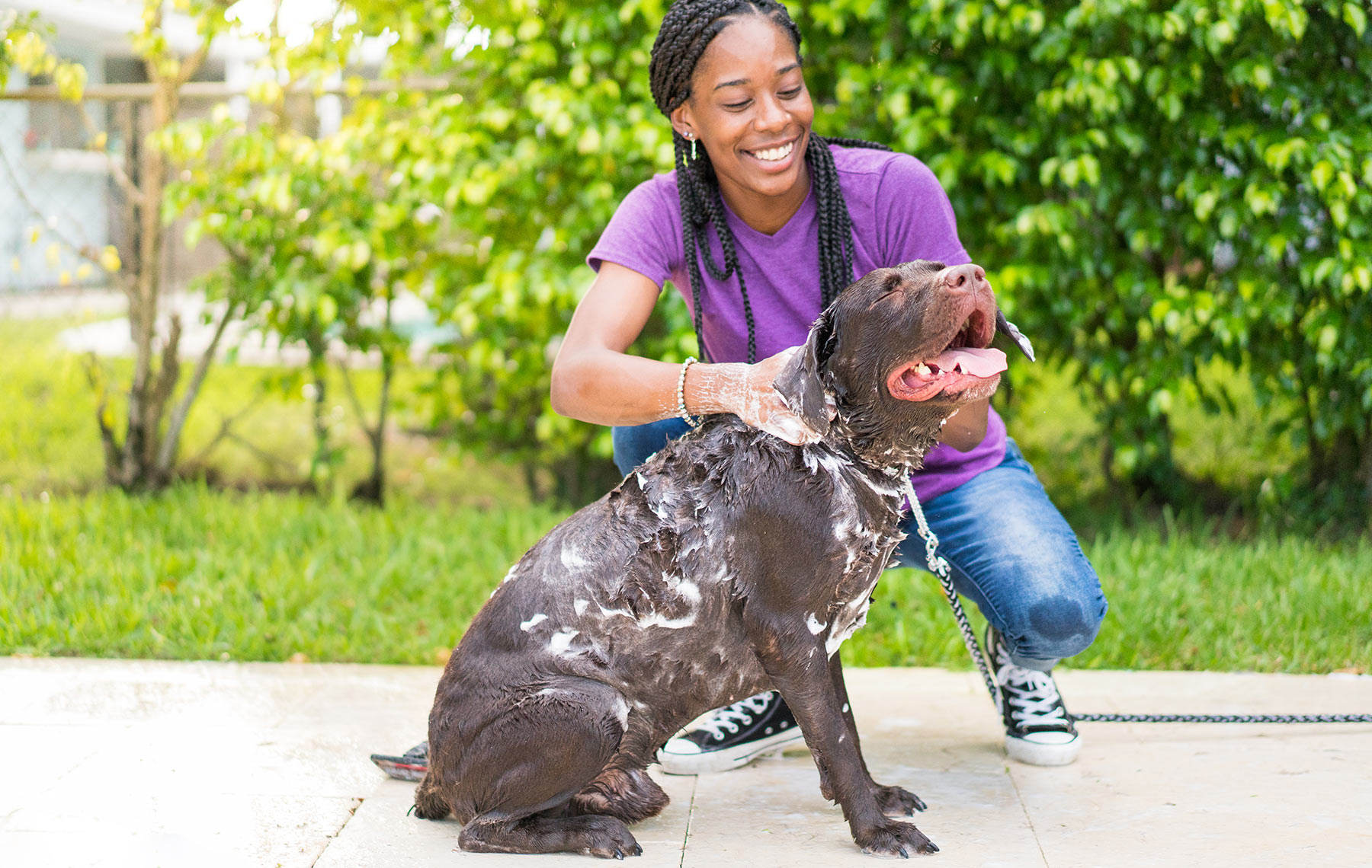 Allergies Dog Wash